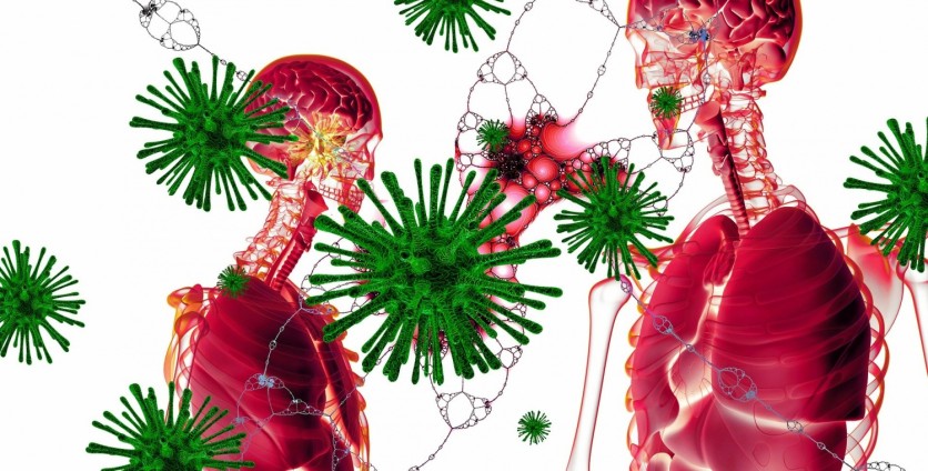 Coronavirus: Nitric Oxide Eyed as a Possible COVID-19 Cure and Answer to Ventilator Shortages