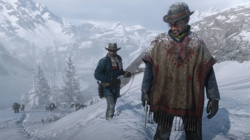 Video game graphics showcase rdr2