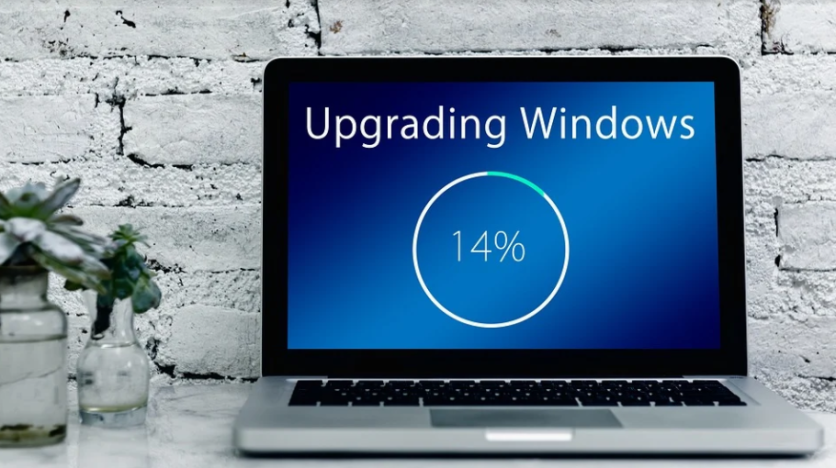 Windows 11