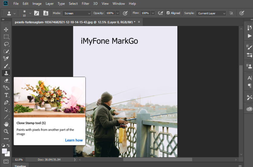 How To Remove Text From Picture/Video Online/iPhone App/PC