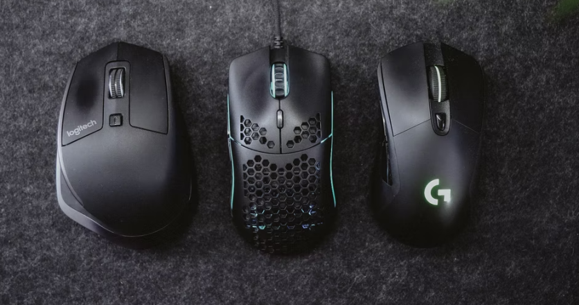 mouse