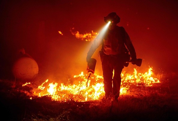 How Watch Duty App Tracks Wildfire? Crowdsourced Forest Fire Application Attracts More Users!