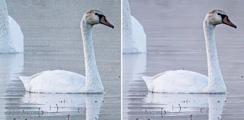 Adobe Lightroom's New Denoise AI Feature Fixes Uneven, Noisy Images! But, Creates Other Issues
