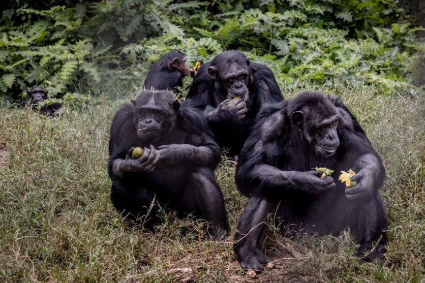 DRCONGO-ENVIRONMENT
