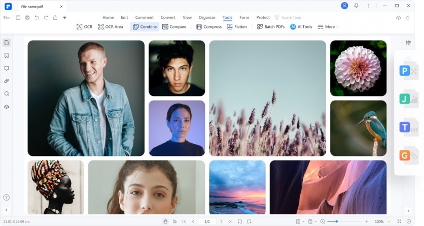Image Editing