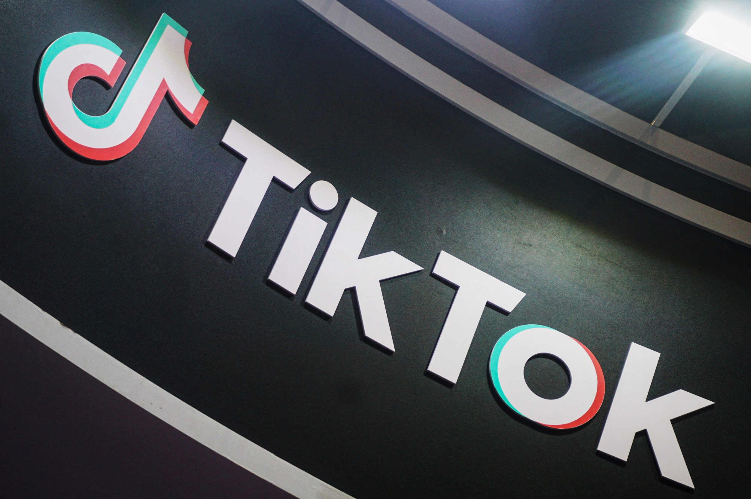 TikTok 希望在新動議中推遲其加拿大禁令，現在請求法院審查