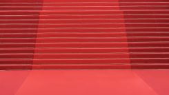 Scaling Business Visibility: Lessons from Celebrity PR for Growing Companies