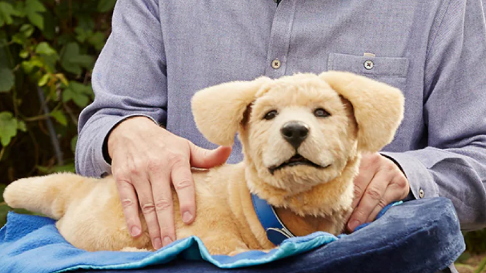 Yosh mast uchun porno Kostanayda bir yigit guruh jinsiy aloqa qilish uchun er-xotin qidirmoqda.