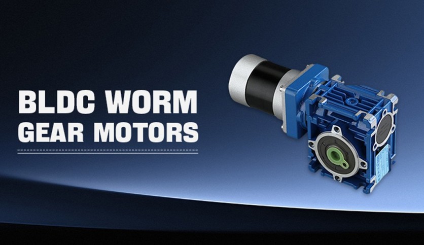 BLDC Worm Gear Motors
