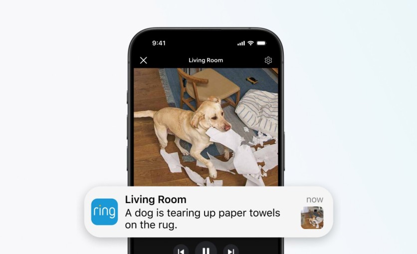 Dog tearing paper towels on rug, seen on Ring cam