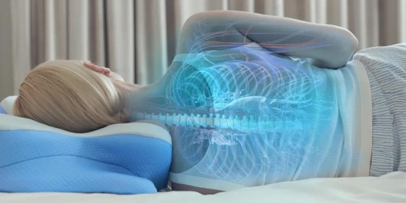 Derila Ergo Memory Foam Pillow