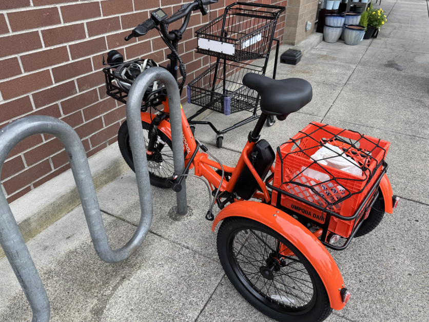 Mooncool TK1 trike locked at grocery store bike rack