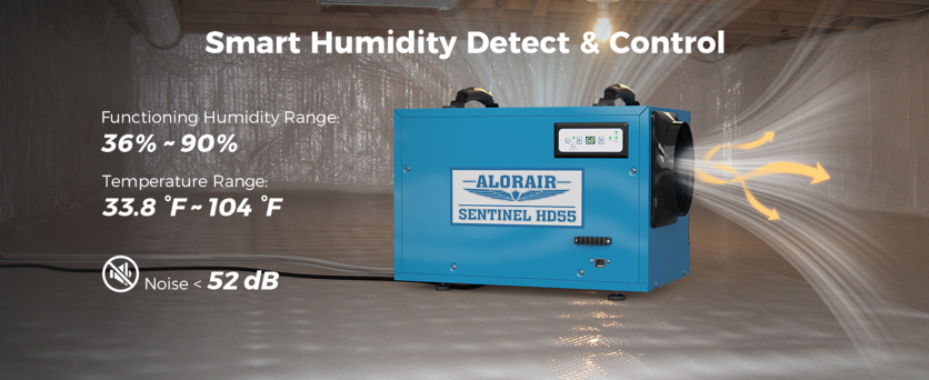 AlorAir Sentinel HD55