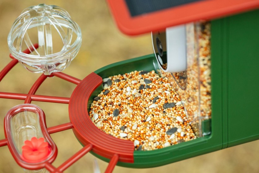 DETIKO Smart Bird Feeder with Camera