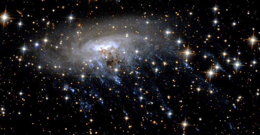 “Jellyfish” Galaxy