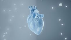 Evyatar Nitzany Showcases How Artificial Intelligence Is Helping Cardiologists Catch