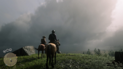Red Dead Redemption 2 In Game Footage