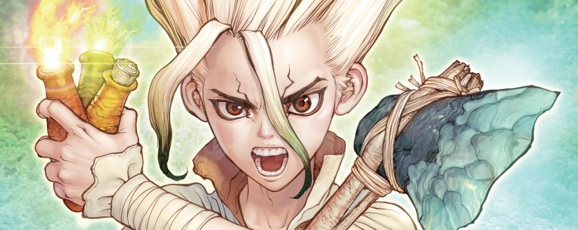 Dr Stone