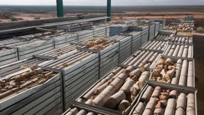 Ore samples are stacked up at Steenkampskraal (SKK) rare-earth mine