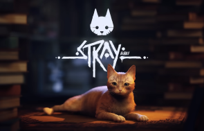 Stray