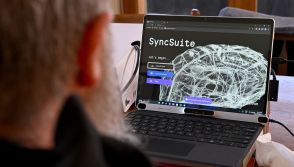 Synchron brain implant