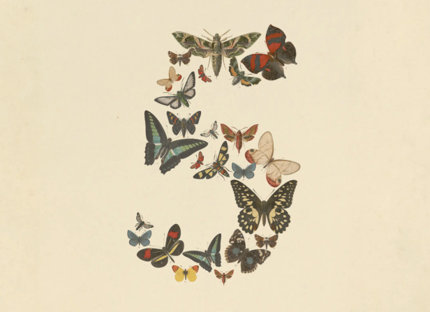 Claude Fable 5 and Claude Mythos 5