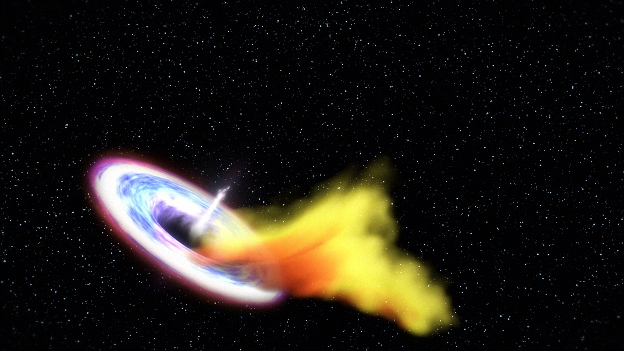 Black Hole Tidal Disruption Event