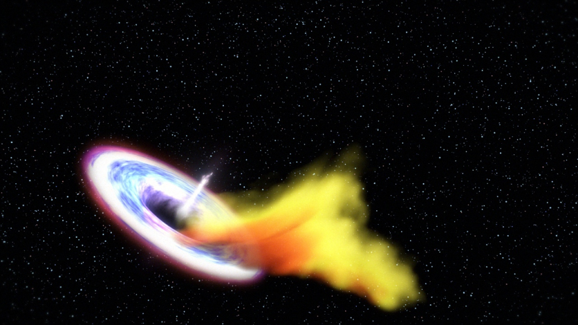 Black Hole Tidal Disruption Event