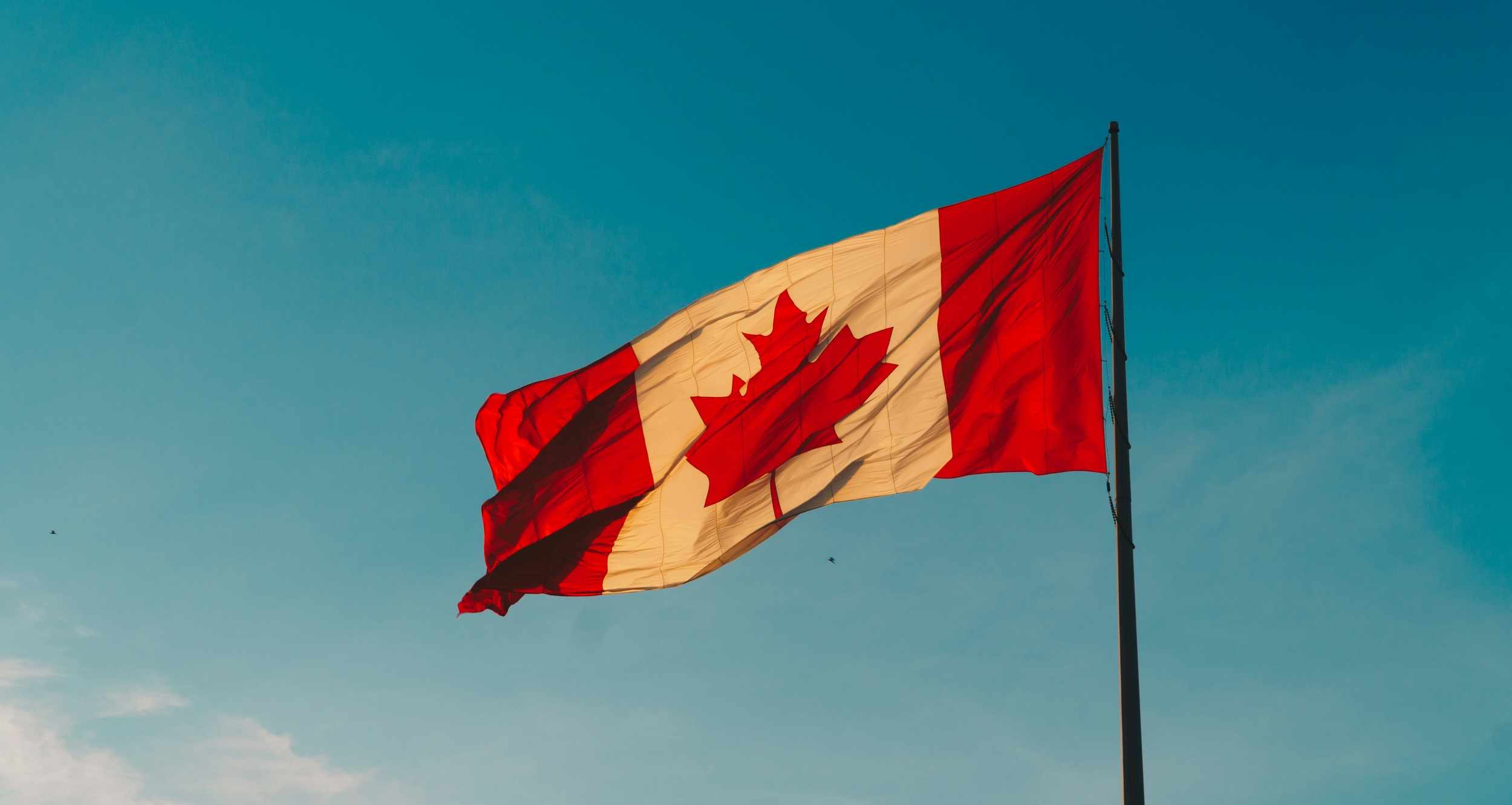 Canada Claws Back Citizenship Certificates From Hundreds Who Used Genealogy Sites