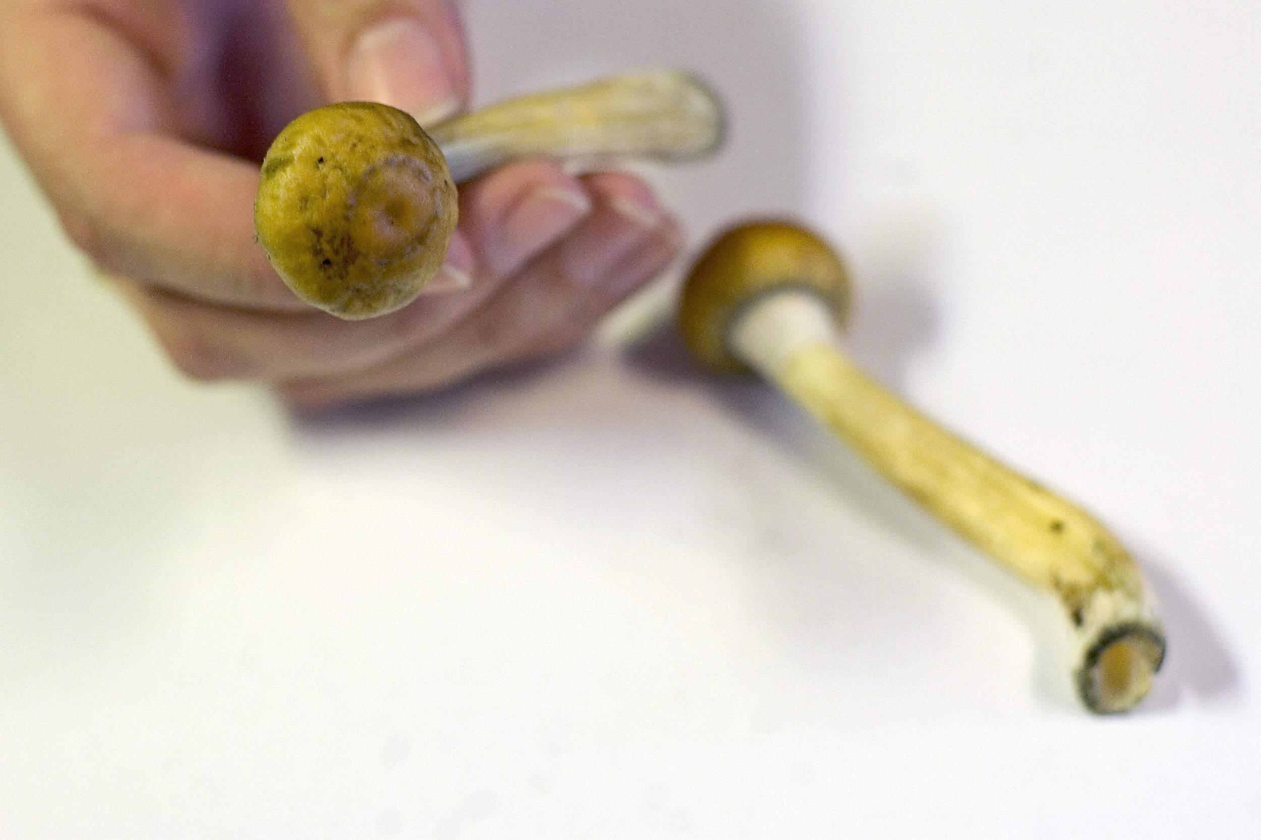 FDA Finalizes Psychedelic Trial Rules: Unblinding Problem Gets Official Answer