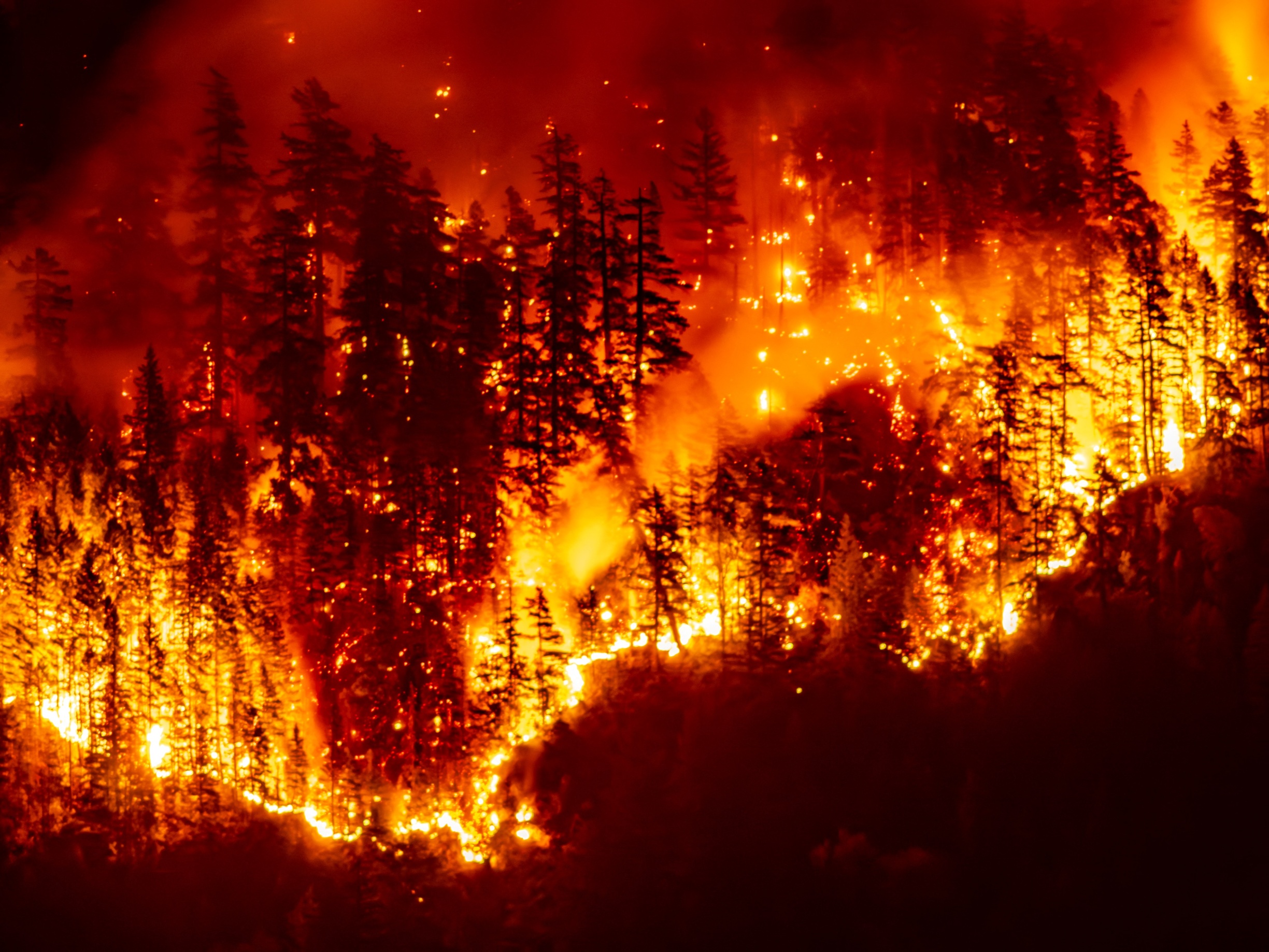 Senate Rejects Canada Wildfire Sanctions as Scientists Point to Climate, Not Ottawa