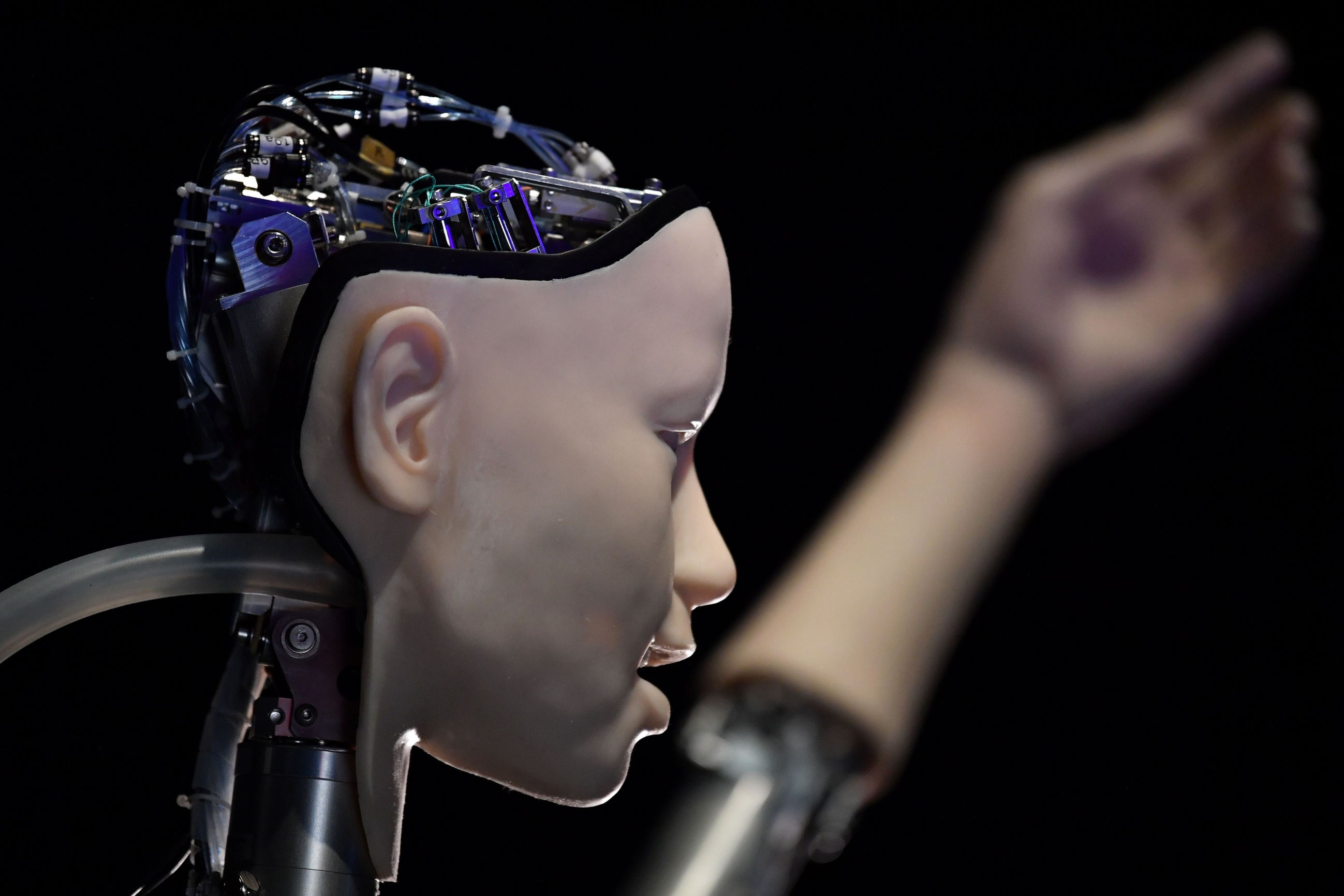 Princeton Gives AI Agents Unpublished Questions: Original Scientists Grade Results