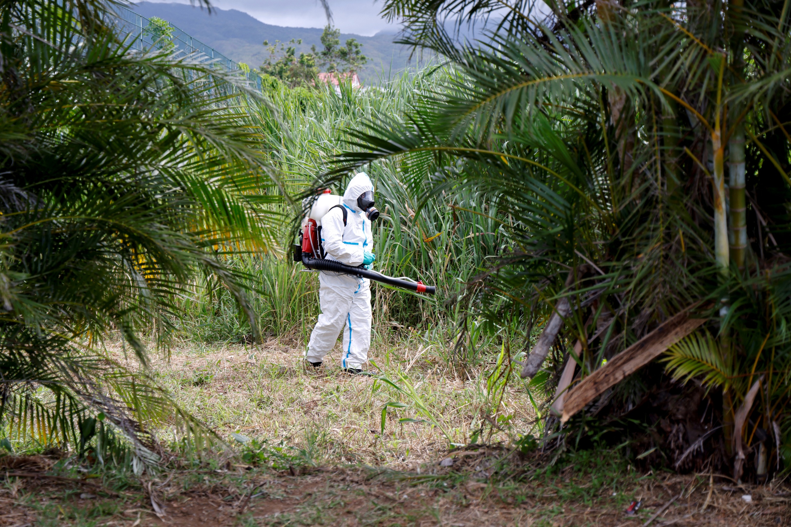 CDC Issues Nicaragua Chikungunya Alert as Suspended Vaccine Leaves U.S ...