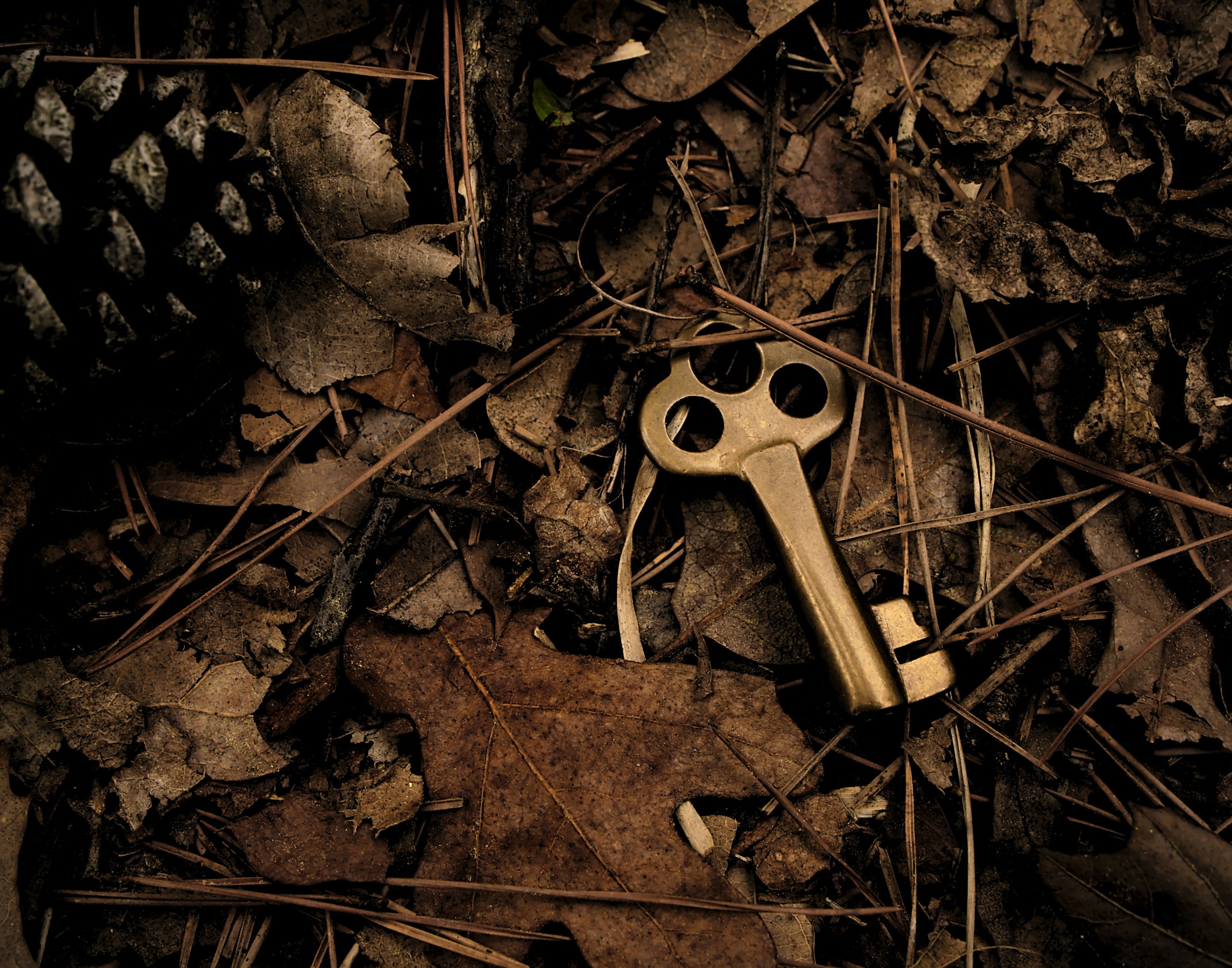 Single Shared Encryption Key Let Anyone Read AI Reasoning Buried in ...