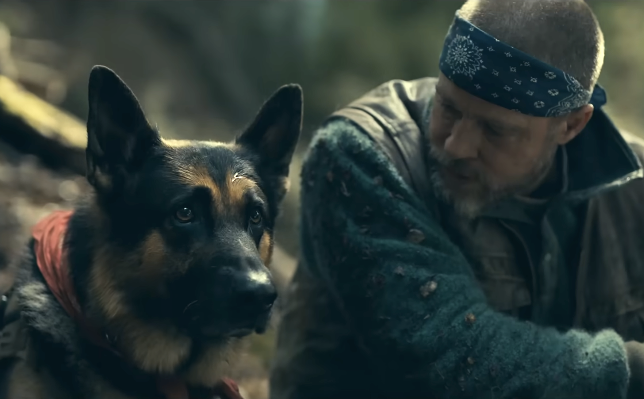 Heart of the Beast: Pitt's Dog Film Gets Oxytocin and PTSD Neuroscience Right