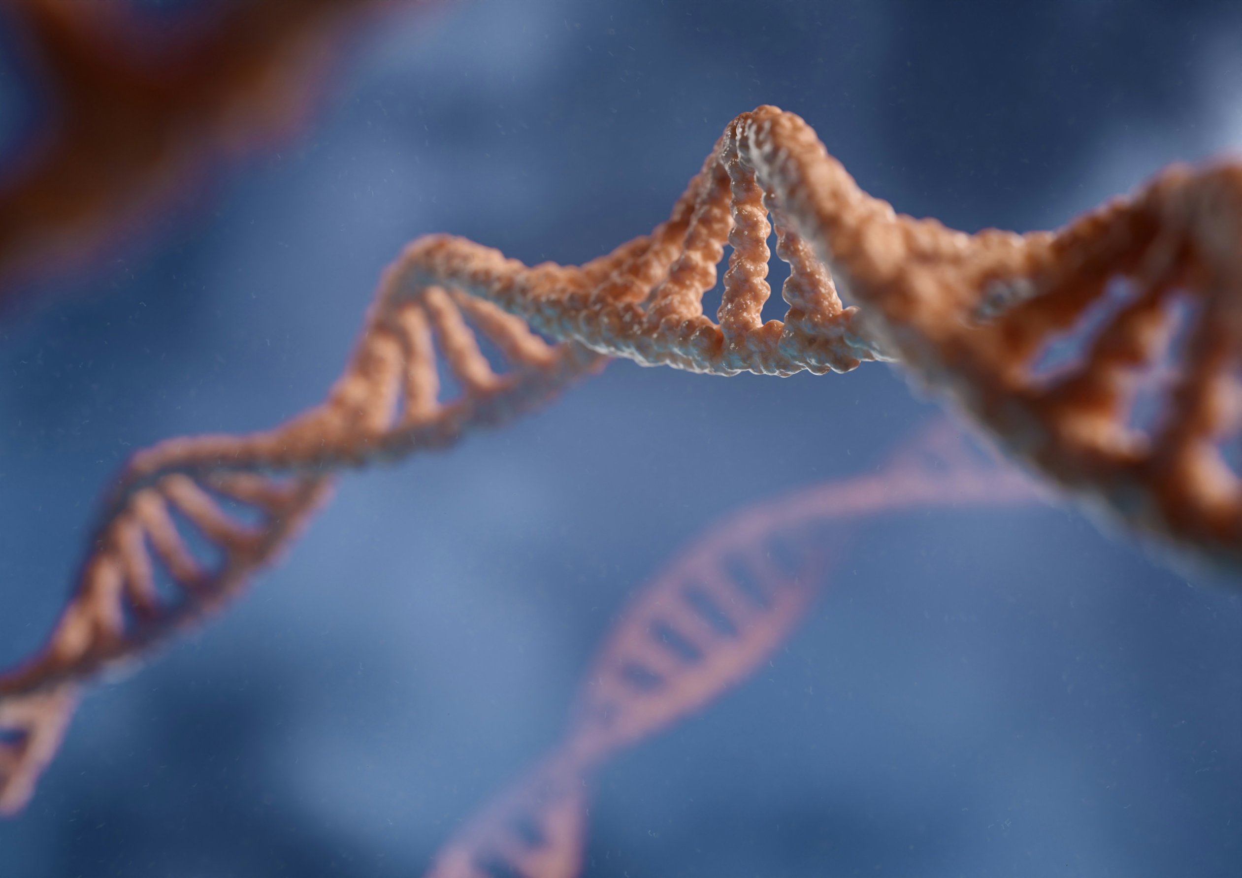 Gallaudet Called Deafness Gene Therapy Cultural Erasure: Brand New Day Staged That Argument
