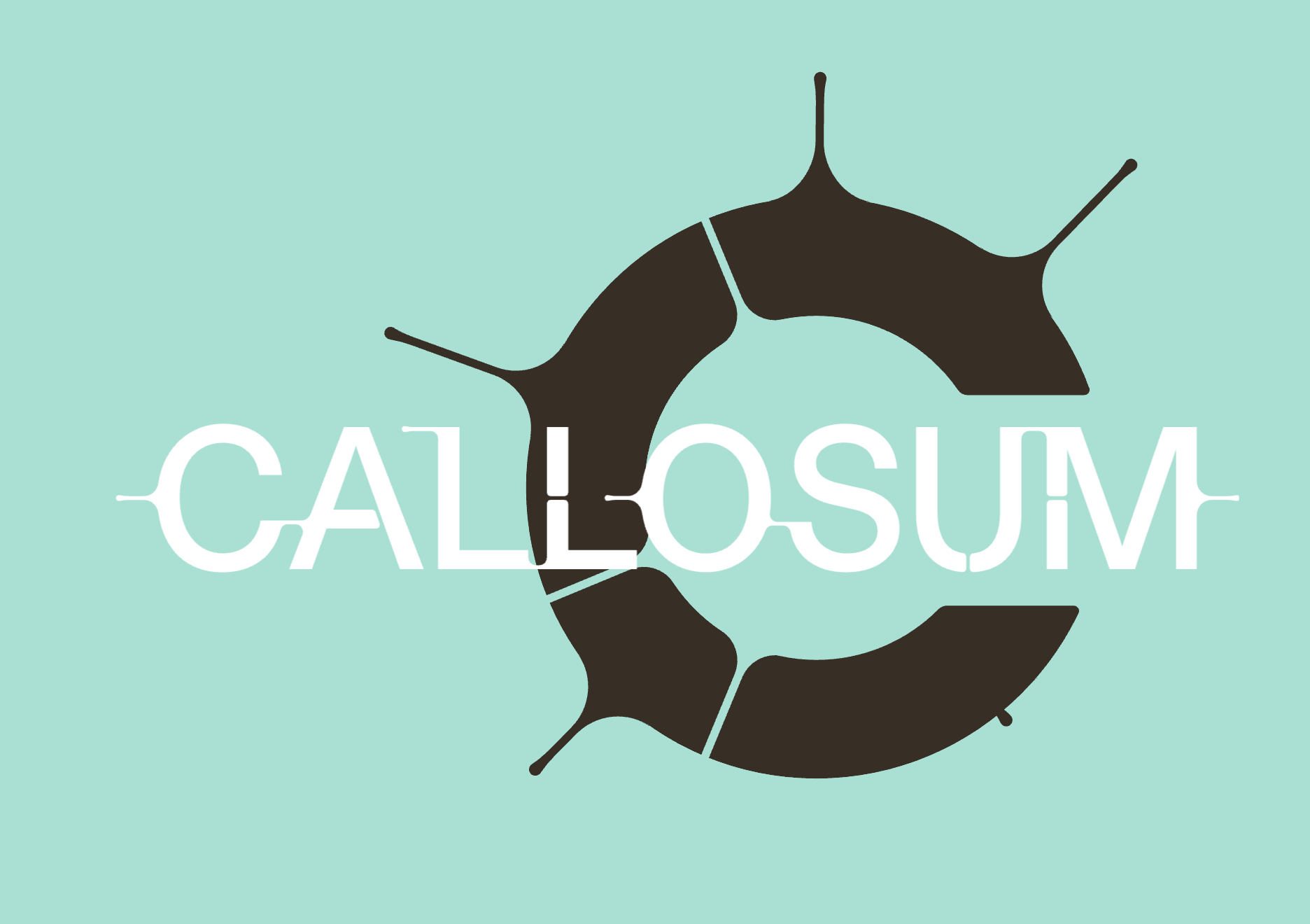 Callosum Lands $100M Seed to Route AI Tasks Across Any Chip, Bypassing ...