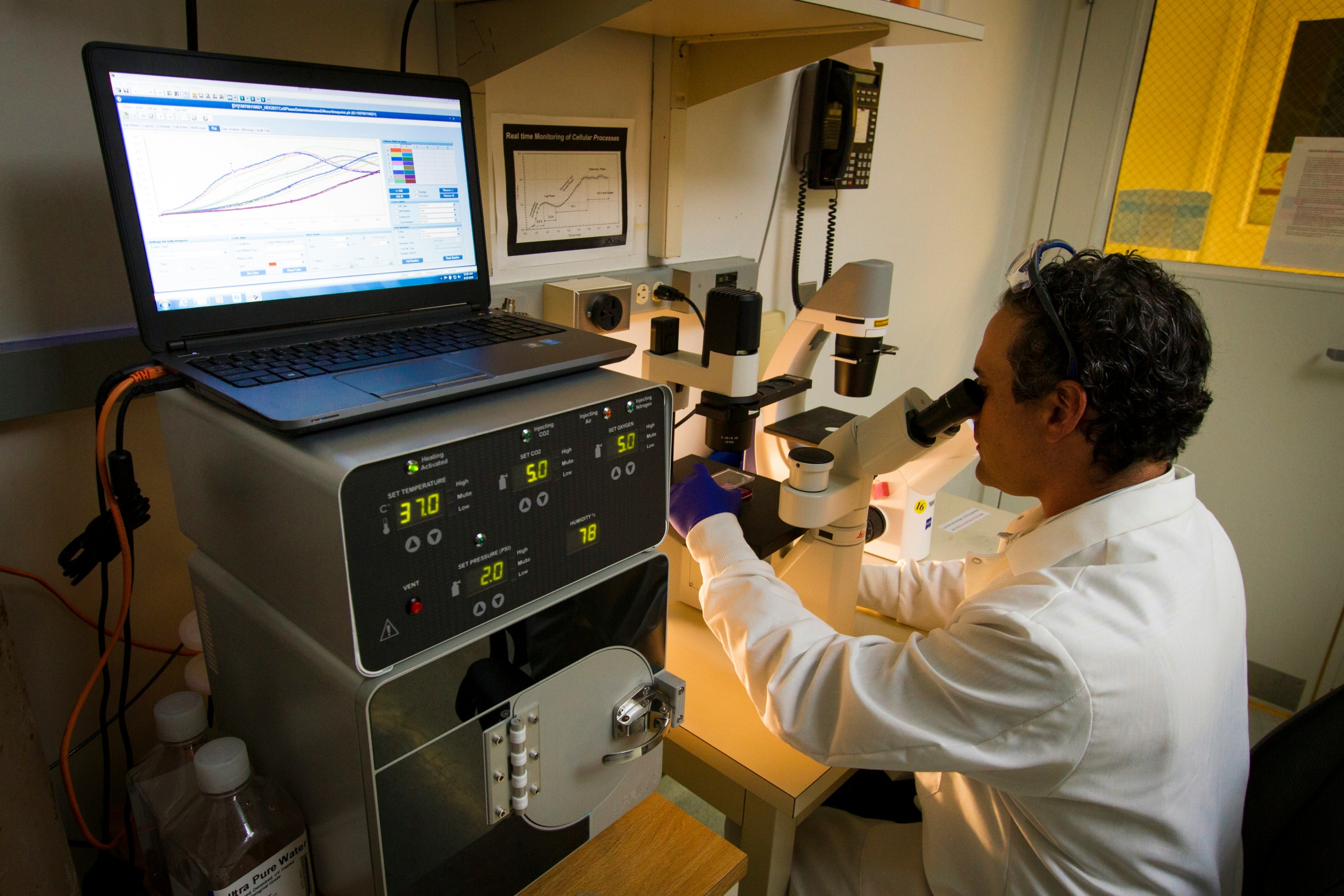 Glycogen Storage Disease Gene Therapy Approved: Cornstarch Data, Not Hypoglycemia Proof