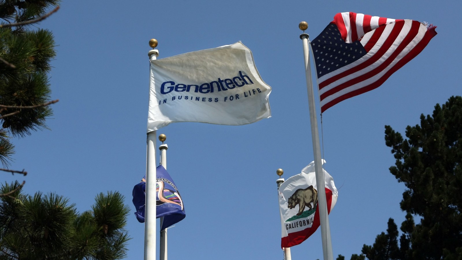 Genentech Pays $190M for Obesity Drug Built to Preserve Muscle GLP-1 Drugs Erode