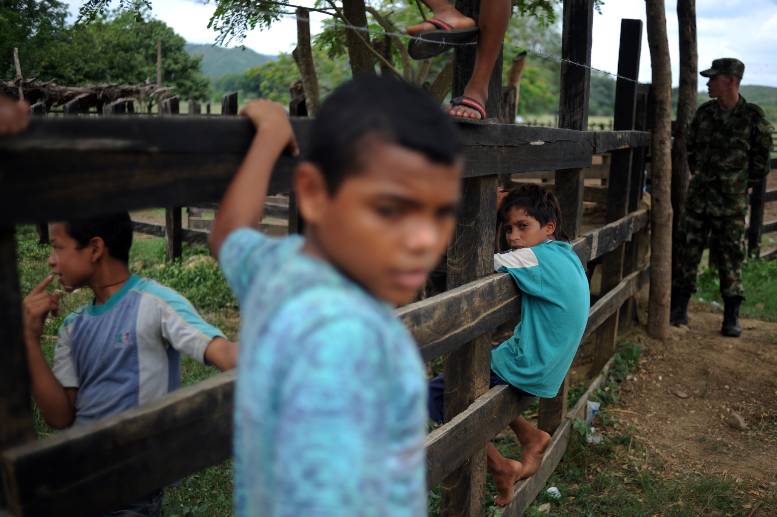 Facebook and TikTok Algorithms Boosted Colombian Child-Soldier ...