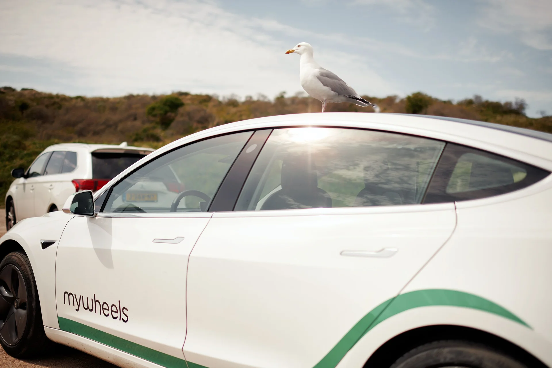 Tesla FSD Reaches Europe's Car-Sharing Fleets in Dutch First