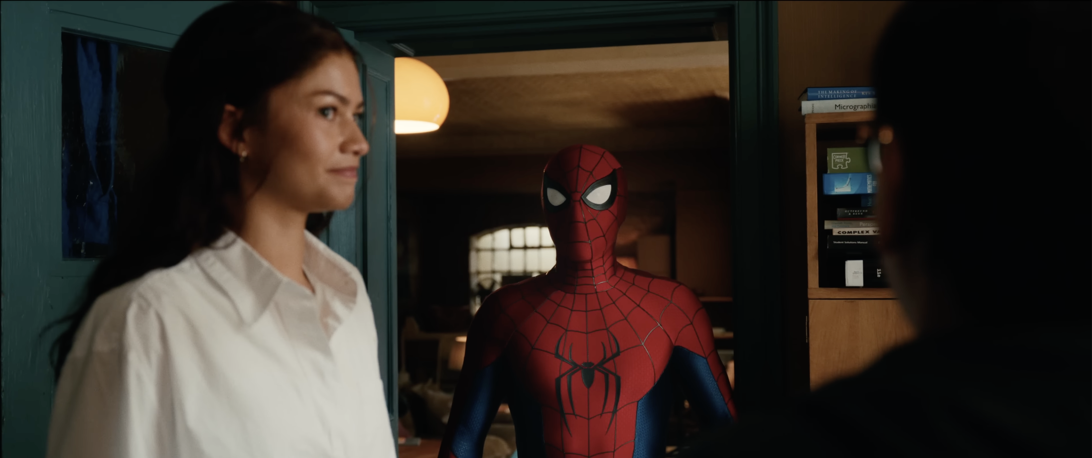 Spiderman. Brand. New. Day