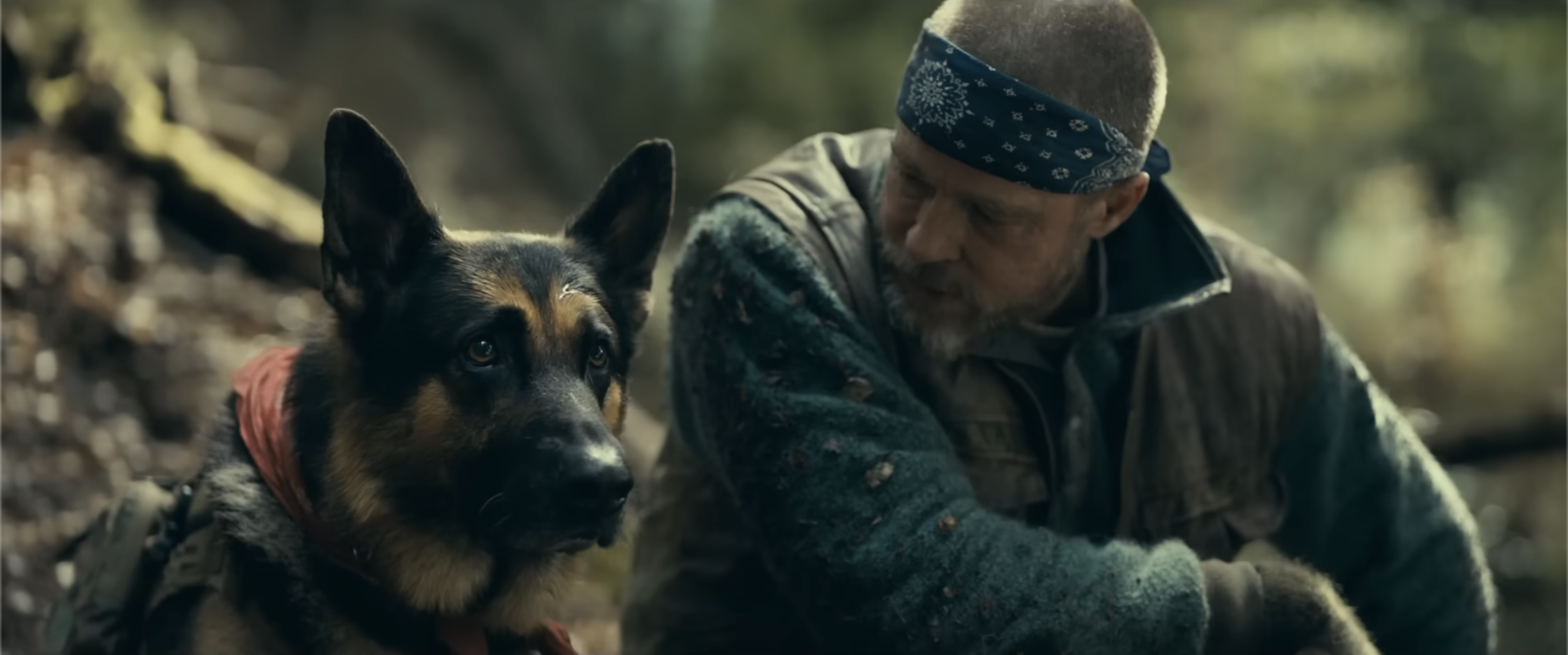 Heart of the Beast Opens Sept 25: Wolves Chose Humans, Science Confirms