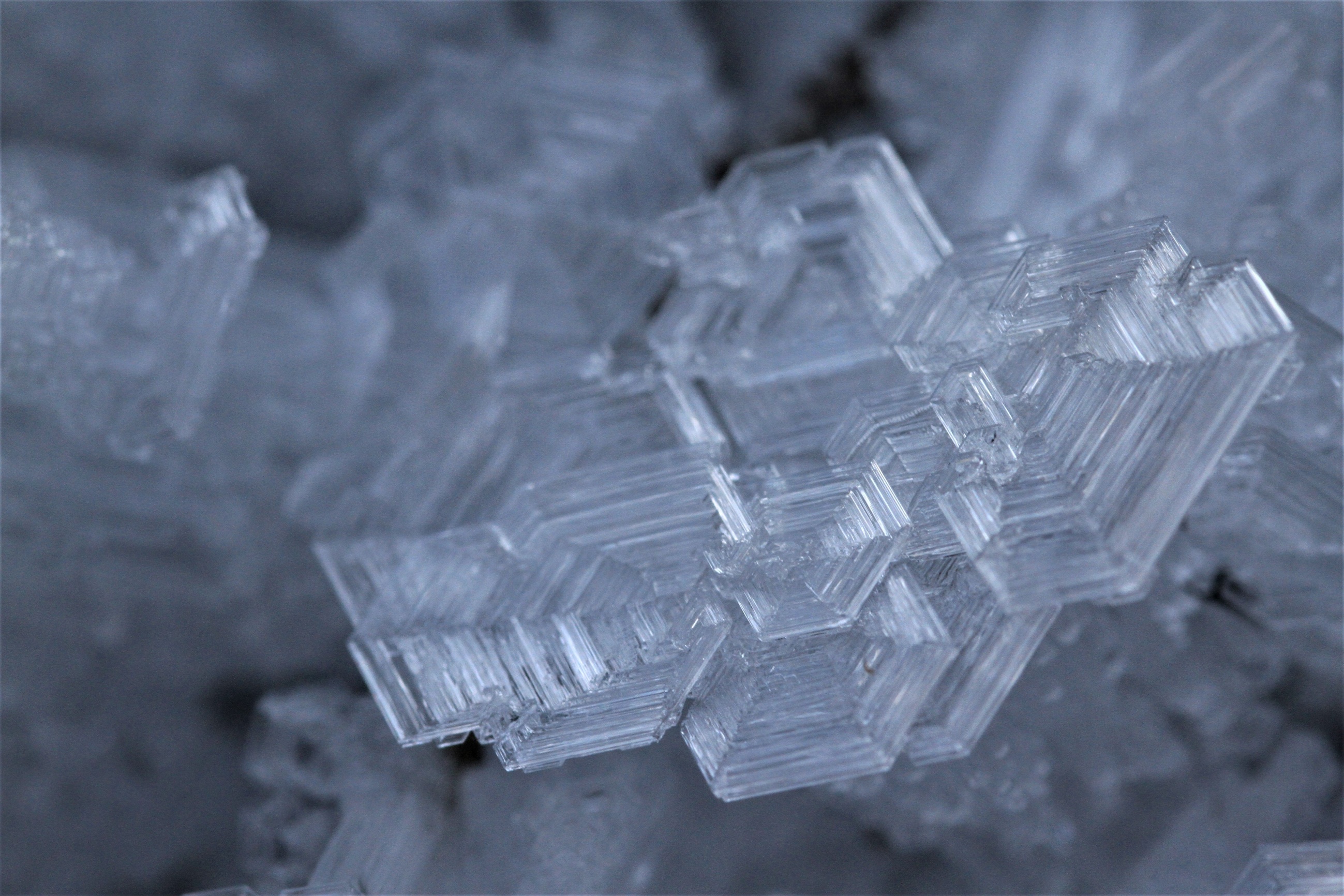 Quantum Memory Trade-Off Resolved: Packed Rare-Earth Crystal Achieves ...