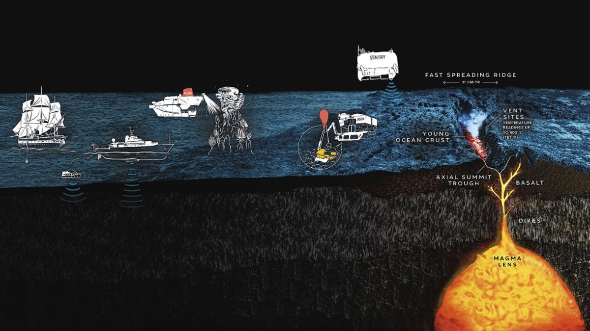 Vent fluid temperatures predicted a mid-ocean eruption before it struck